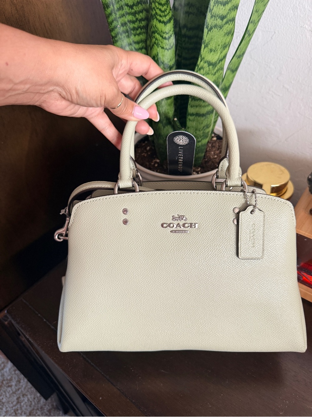 ✨✨COACH mini Lillie carryall crossbody leather bag , NWT, light sage, satchel.